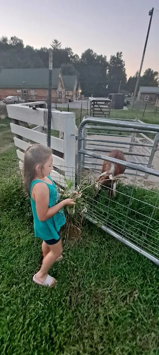 Animals R Us 9
