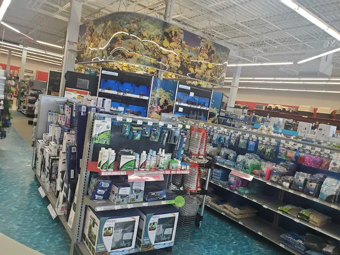 Petco 6