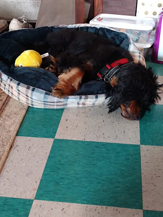 Petco 8