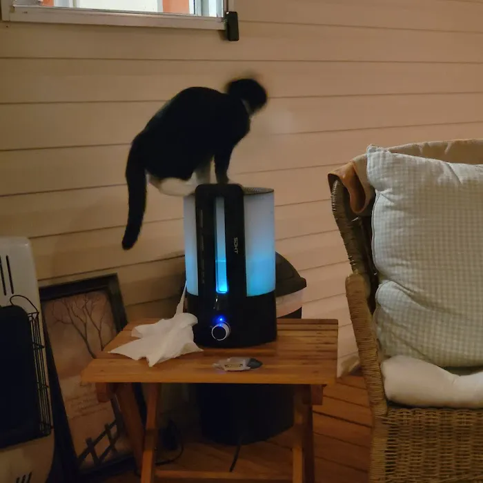 Pet-Vac Animal Hospital 9