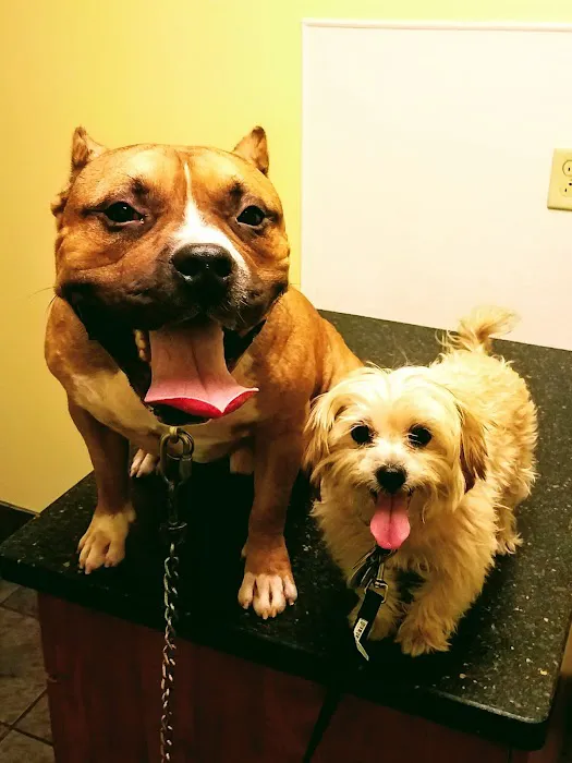 Westside Veterinary Clinic 12