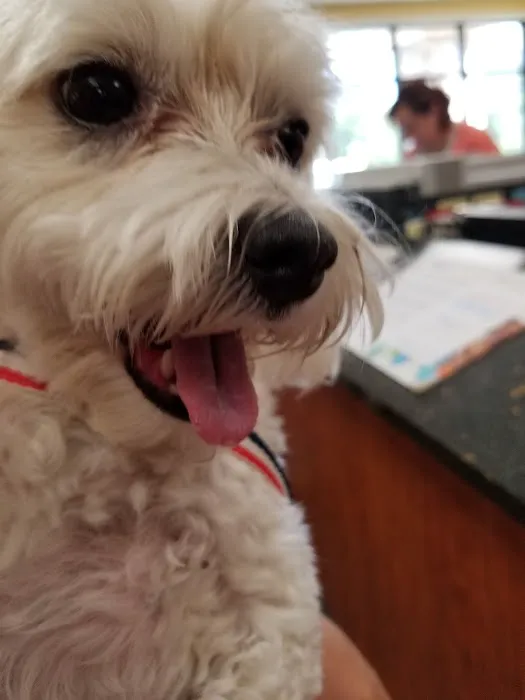 Westside Veterinary Clinic 12