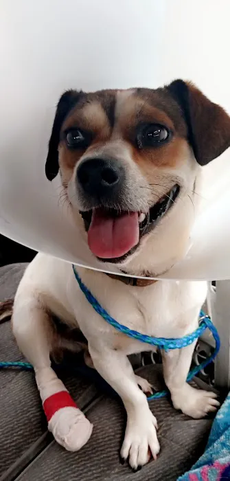 Westside Veterinary Clinic 12