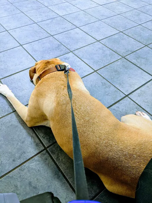 Westside Veterinary Clinic 12