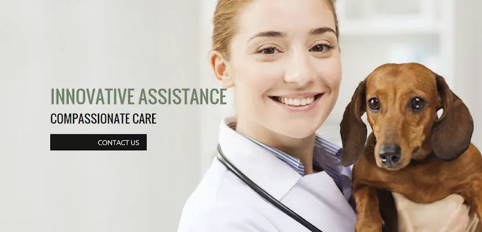 Reidville Road Animal Hospital 12