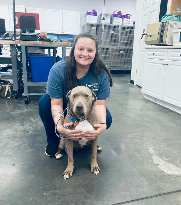 Animal Clinic of Woodruff 12