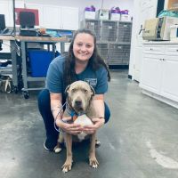 Animal Clinic of Woodruff ico