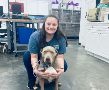 Animal Clinic of Woodruff
