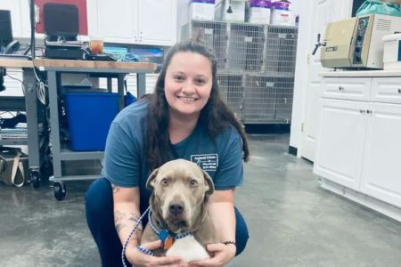 Animal Clinic of Woodruff