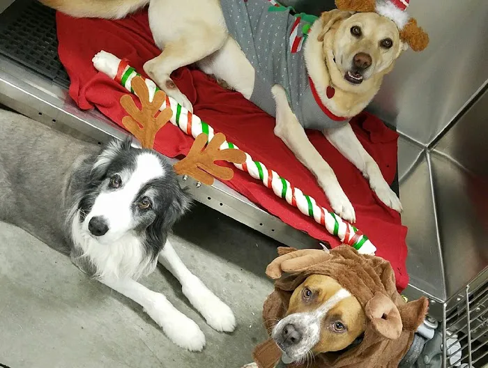 Animal Clinic of Woodruff 12