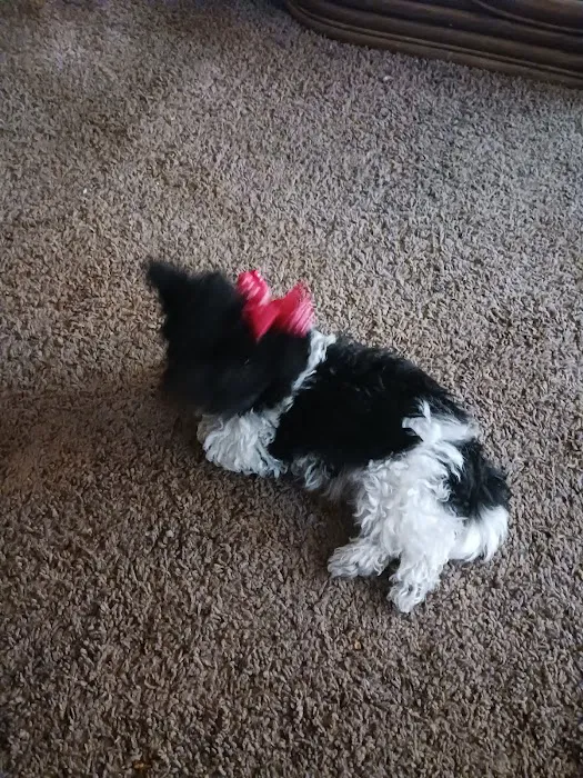 Circle T Veterinary Center 12