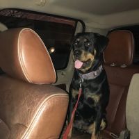 Circle T Veterinary Center ico