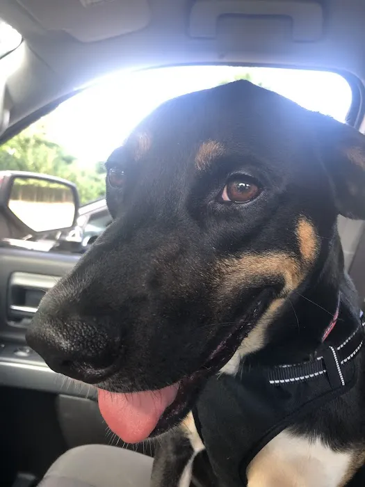 Circle T Veterinary Center 12