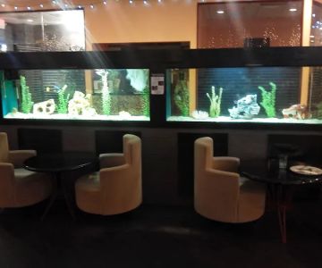 Ryan's Aquarium Cleaning