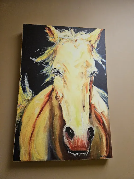 Palmetto Animal Clinic 12