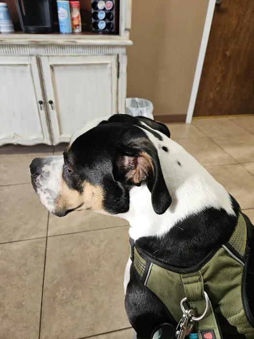 Palmetto Animal Clinic 12