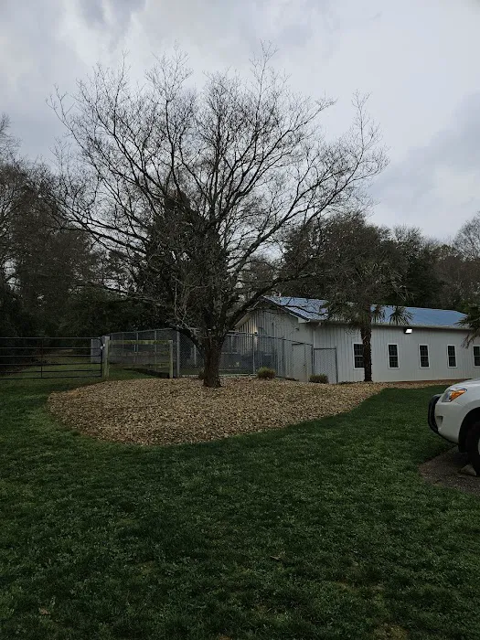 Palmetto Animal Clinic 12