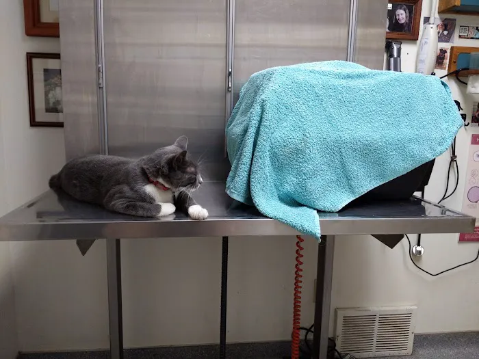 Park Avenue Animal Hospital 12