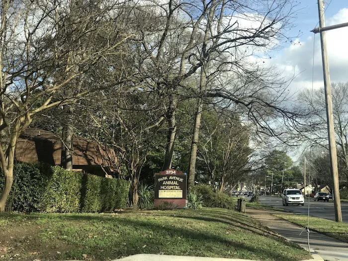 Park Avenue Animal Hospital 12