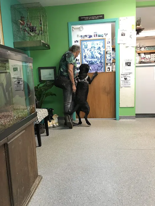 Park Avenue Animal Hospital 12