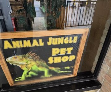 Animal Jungle Pet Shop