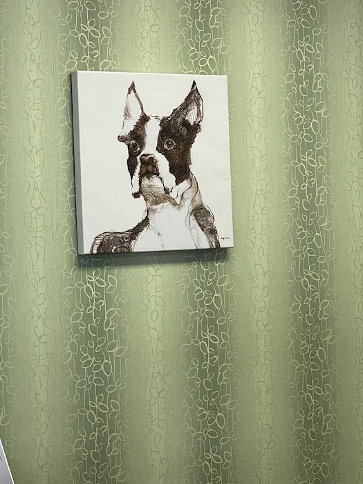 RescueVet Pet Care Center 12