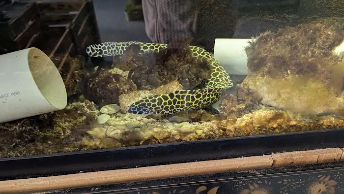 Boggs Aquatics 1