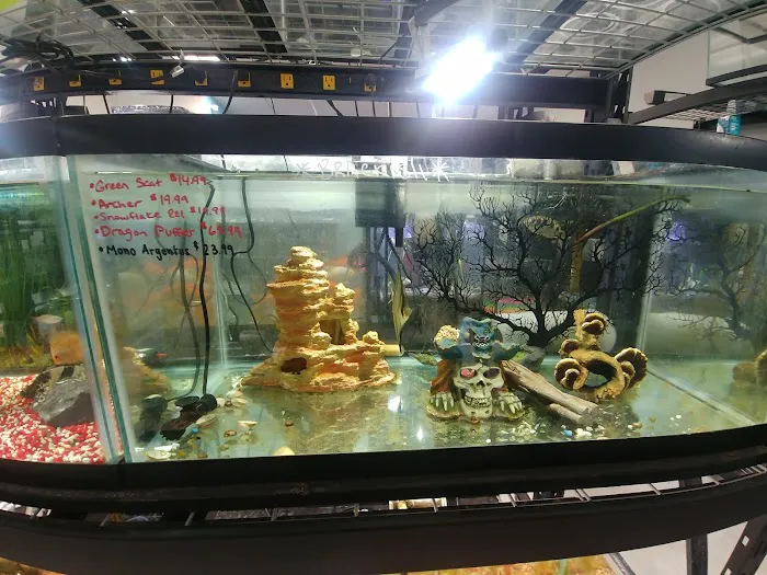 Boggs Aquatics 6