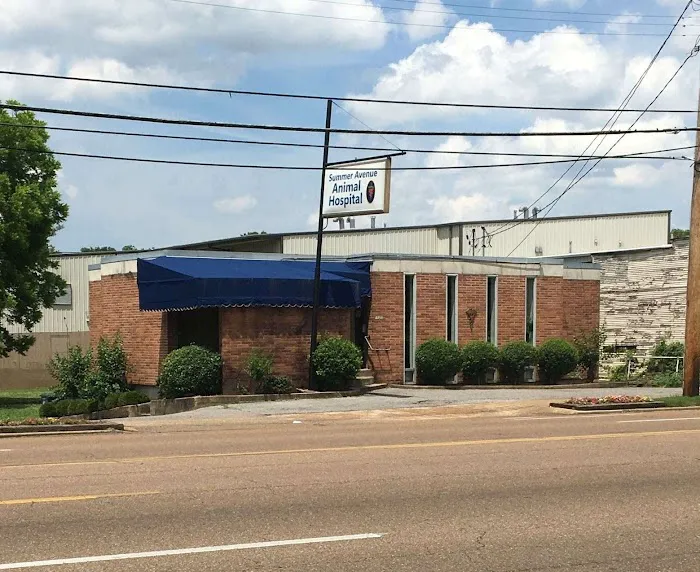 Summer Avenue Animal Hospital 12