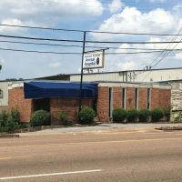 Summer Avenue Animal Hospital ico