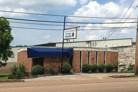 Summer Avenue Animal Hospital