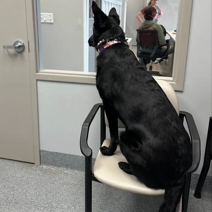 Southern Crossing Animal Hospital 12