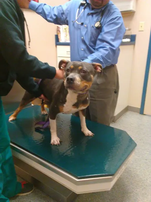 Drennan Animal Hospital 12