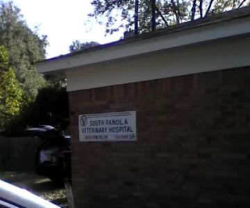 South Panola Veterinary Hospital