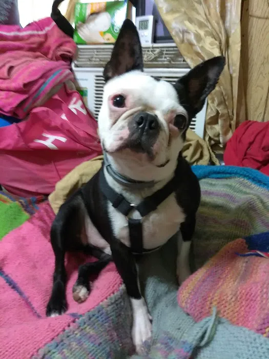 Family Pet Hospital 6