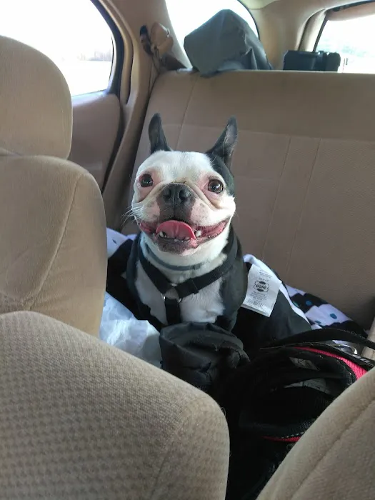 Family Pet Hospital 5