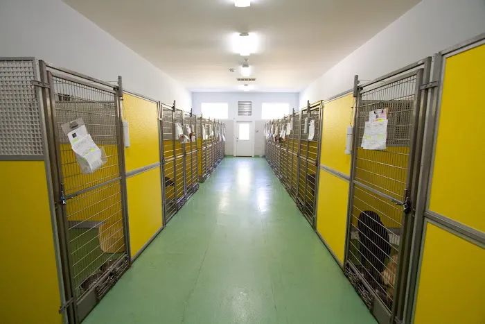 Pampered Paws Animal Hospital 12