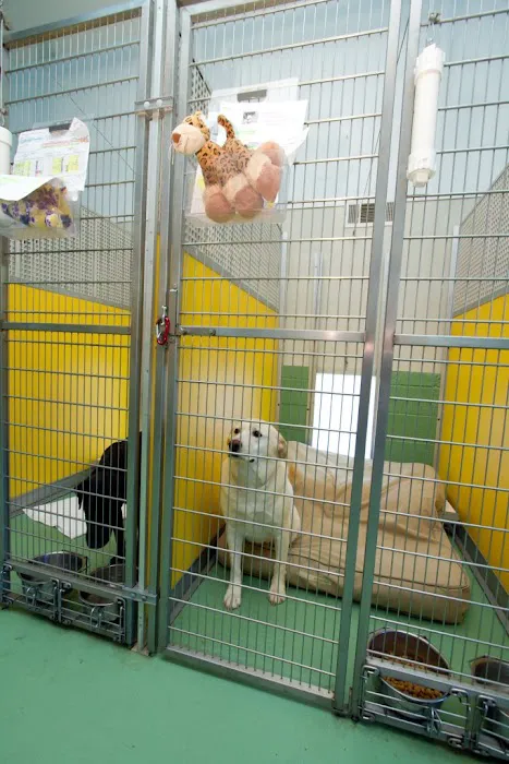 Pampered Paws Animal Hospital 12
