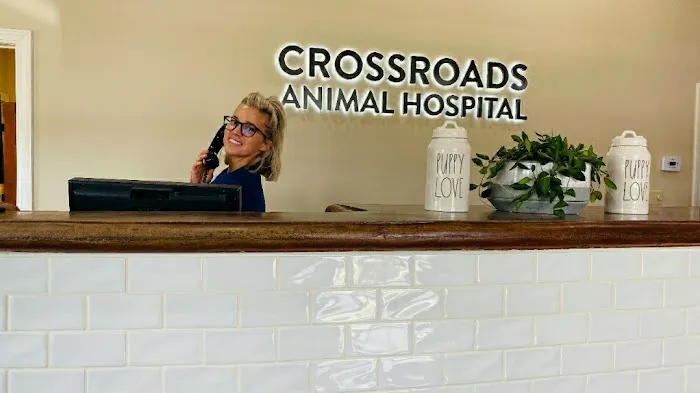 Crossroads Animal Hospital 2
