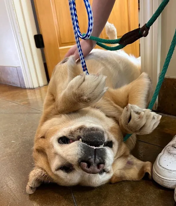 Crossroads Animal Hospital 5