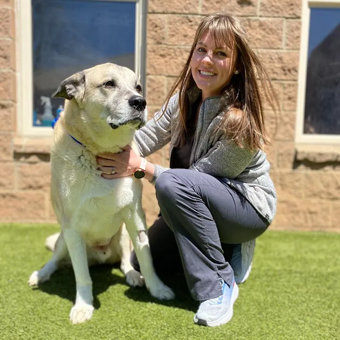 Crossroads Animal Hospital 6