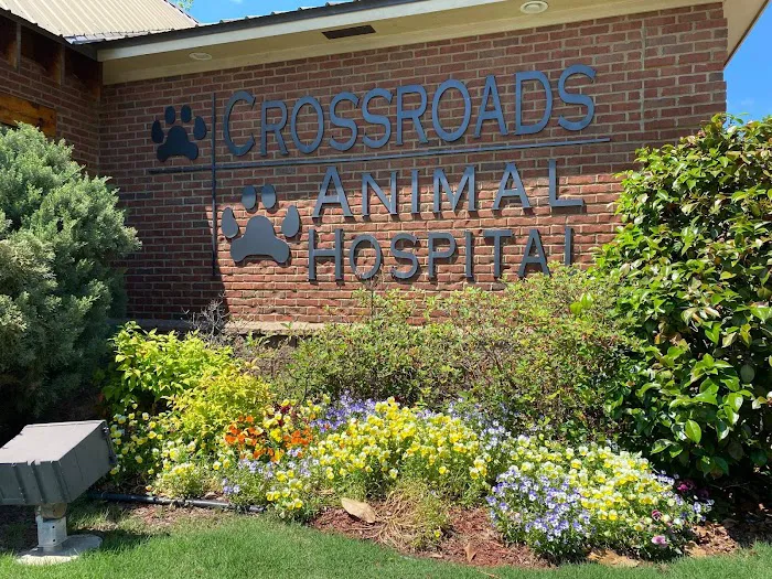 Crossroads Animal Hospital 10