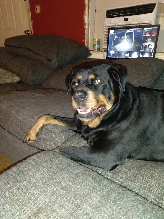 Dadeville Animal Clinic 12