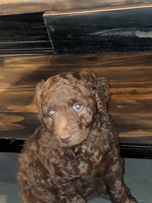 Dadeville Animal Clinic 12