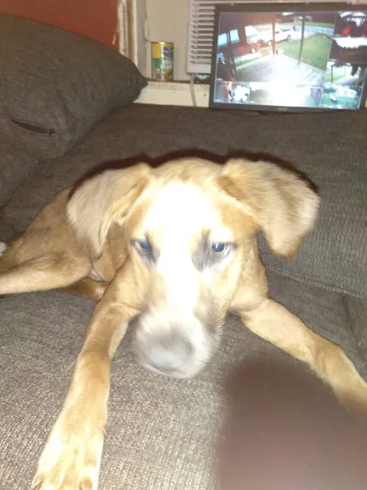 Dadeville Animal Clinic 12