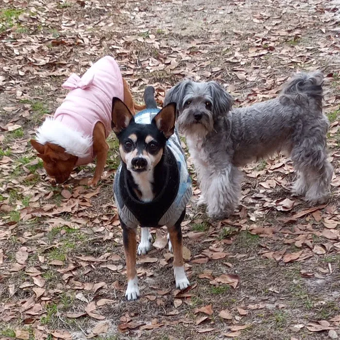 Springwood Veterinary Clinic 12