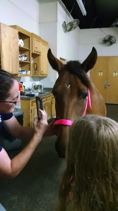 Southern Equine Service - Jamie Carter DVM 12