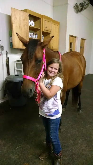 Southern Equine Service - Jamie Carter DVM 12