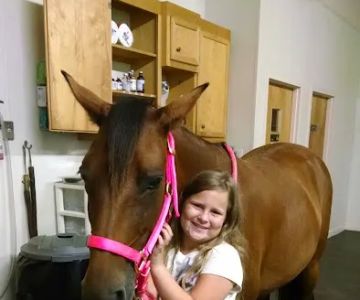 Southern Equine Service - Jamie Carter DVM