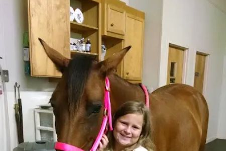 Southern Equine Service - Jamie Carter DVM